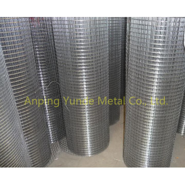 Electro Galvanized Welded Wire Mesh